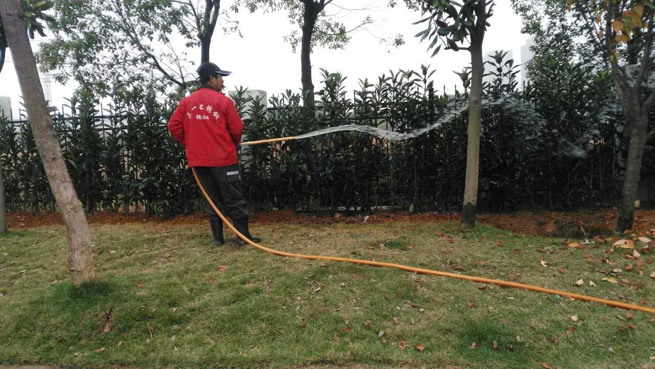 管护公司开展冬季道路绿化植被养护工作