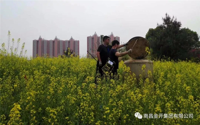 管护公司对区内双港大道等14条污水管道开展管道检测工作