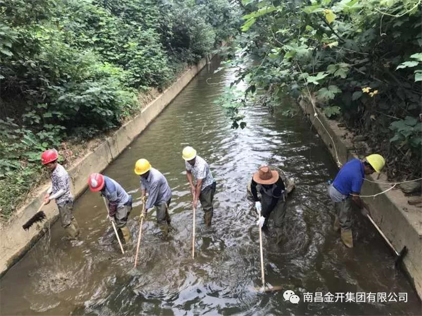 龙潭水渠、麦庐支渠黑色底泥清淤处置工作正稳步推进中
