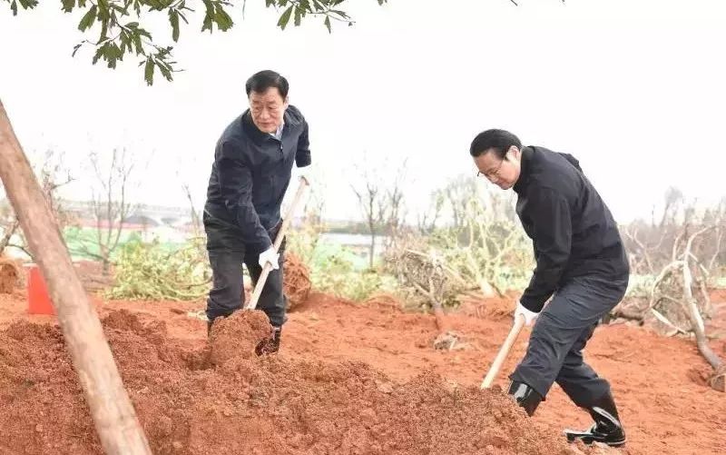 迎春潮 | 省委书记、省长带领大家一同植树 