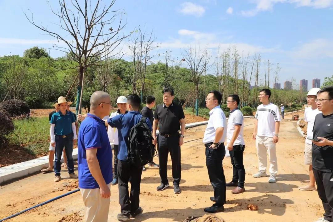 董事长谢荣华调研集团建设项目安全生产和项目推进工作