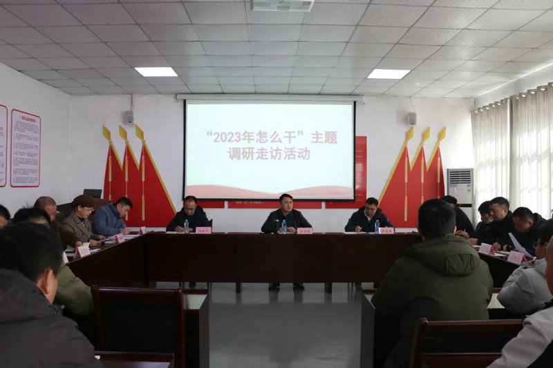 集团领导调研子公司：以市场化发展彰显平台功能