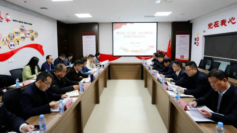 集团召开“项目为先、实干奋进，争分夺秒拼经济”动员会